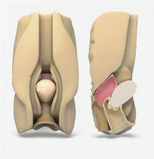 Weibliches Abdominal- viszerale Organe vaginales culdocentesis Laparoscopic Simulator